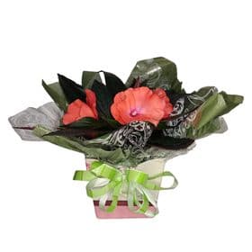 thumb-impatiens-decorada-para-presente-2