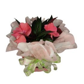 thumb-impatiens-decorada-para-presente-0