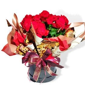 thumb-begonia-decorada-com-laco-na-box-1