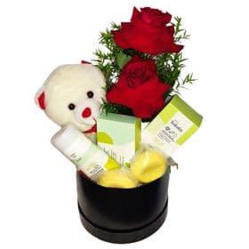 thumb-box-urso-rosas-e-kit-natura-1