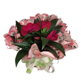 thumb-impatiens-decorada-para-presente-1