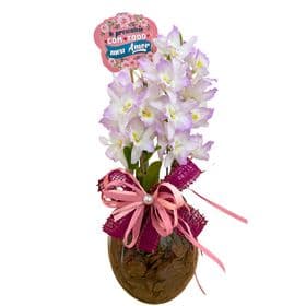 thumb-orquidea-no-vaso-de-vidro-para-presente-3