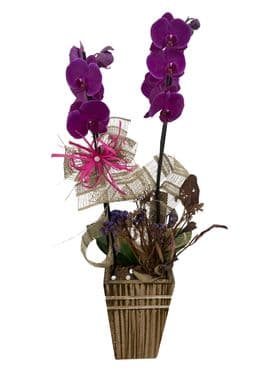 thumb-orquidea-em-vaso-de-madeira-decorada-2