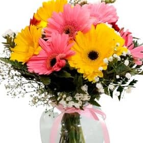 thumb-arrajo-de-gerberas-1