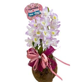 thumb-orquidea-no-vaso-de-vidro-para-presente-0