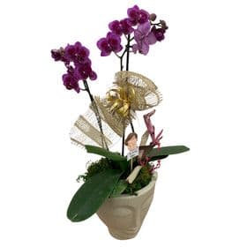 thumb-orquidea-decorada-no-vaso-face-2