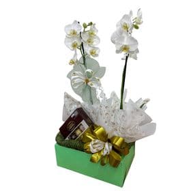 thumb-box-orquidea-chocolate-0