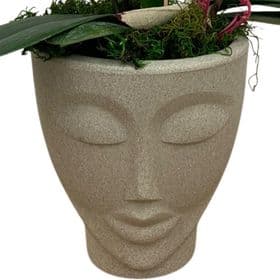 thumb-orquidea-decorada-no-vaso-face-1