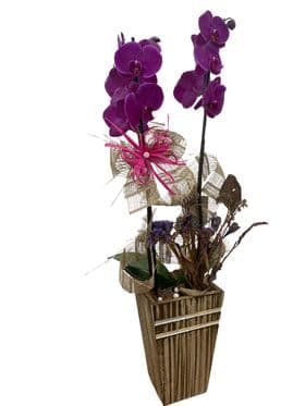 thumb-orquidea-em-vaso-de-madeira-decorada-1