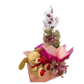 thumb-box-orquidea-com-urso-2