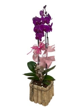 thumb-orquidea-com-vaso-rustico-0