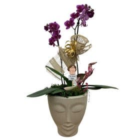 thumb-orquidea-decorada-no-vaso-face-0