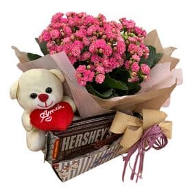 thumb-cestinha-com-urso-flor-e-chocolates-1